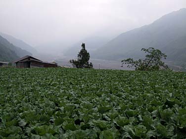 Central Mountains, Taiwan, Jacek Piwowarczyk, 2008