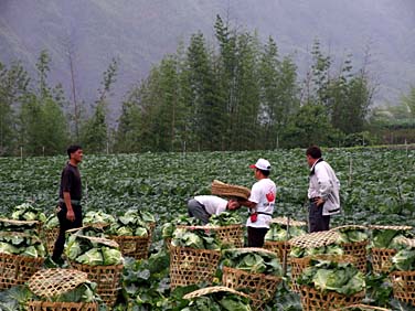Central Mountains, Taiwan, Jacek Piwowarczyk, 2008