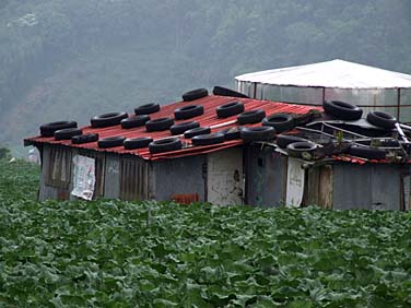 Central Mountains, Taiwan, Jacek Piwowarczyk, 2008
