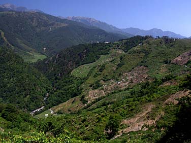 Central Mountains, Taiwan, Jacek Piwowarczyk, 2008