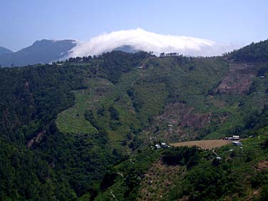 Central Mountains, Taiwan, Jacek Piwowarczyk, 2008