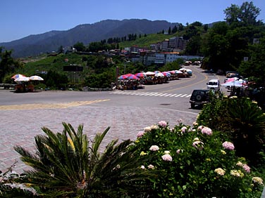 Lishan, Central Mountains, Taiwan, Jacek Piwowarczyk, 2008