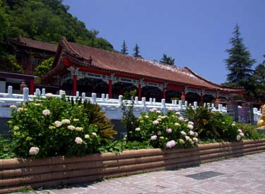 Lishan, Central Mountains, Taiwan, Jacek Piwowarczyk, 2008
