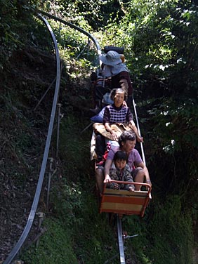 Lishan, Central Mountains, Taiwan, Jacek Piwowarczyk, 2008