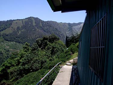 Lishan, Central Mountains, Taiwan, Jacek Piwowarczyk, 2008