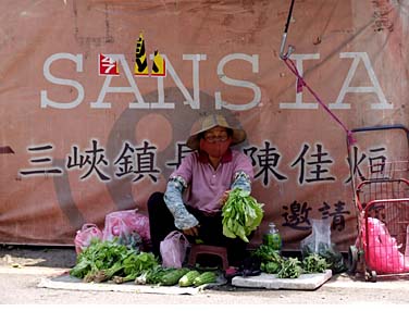 Sansia, Taiwan, Jacek Piwowarczyk, 2008
