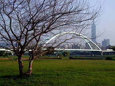 Taipei, Taiwan, Jacek Piwowarczyk, 2008