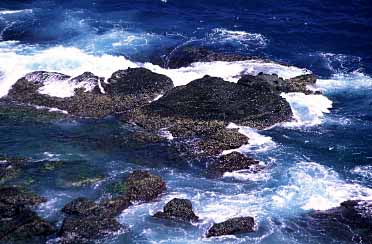 Bitou Cape Park, Northeastern Coast, Taiwan, Jacek Piwowarczyk, 2002
