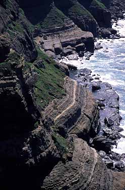 Bitou Cape Park, Northeastern Coast, Taiwan, Jacek Piwowarczyk, 2002