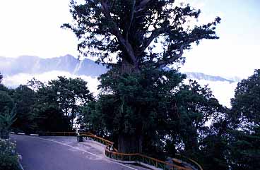 Taroko Gorge, Taiwan. Jacek Piwowarczyk, 2002