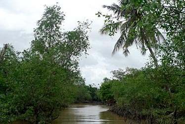 Mekong Delta, Vietnam, Jacek Piwowarczyk, 2009