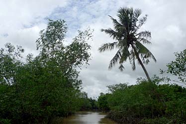Mekong Delta, Vietnam, Jacek Piwowarczyk, 2009