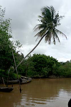 Mekong Delta, Vietnam, Jacek Piwowarczyk, 2009