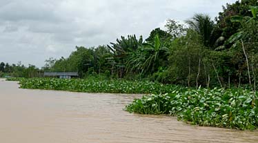 Mekong Delta, Vietnam, Jacek Piwowarczyk, 2009