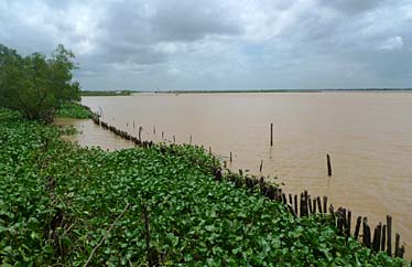 Mekong Delta, Vietnam, Jacek Piwowarczyk, 2009